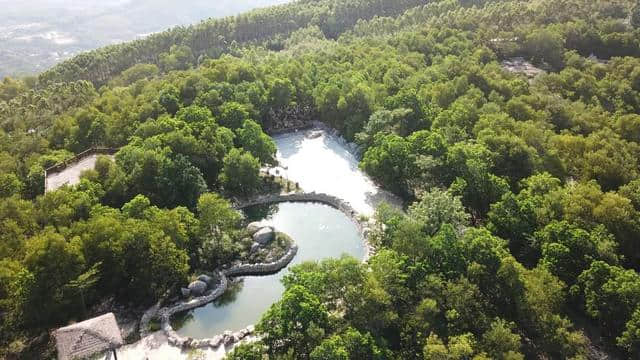 黄花烂漫醉游人，且听风铃！云霄大山海景+黄花风铃木+诏安“小云水谣”一天游！只要148元！