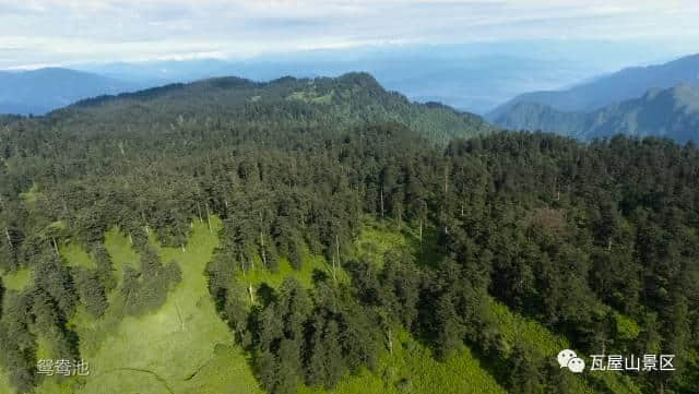 眉山这个景区 将要创建国家AAAA 级旅游景区的迷幻仙境