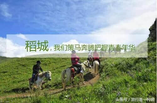 成都租车到稻城亚丁旅游8天需要多少钱