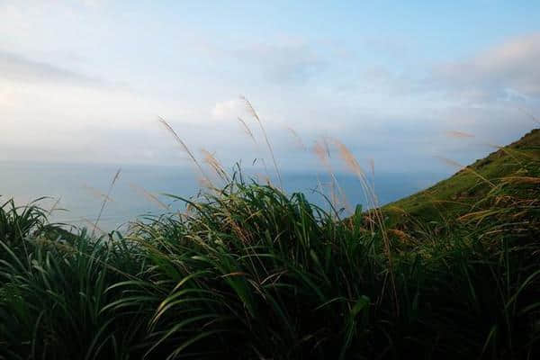 别再说春暖花开，去嵛山岛感受风吹草浪