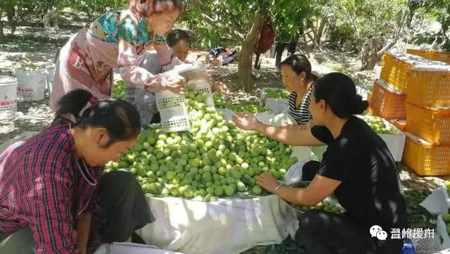 玉环市与茂县签订旅游战略合作协议