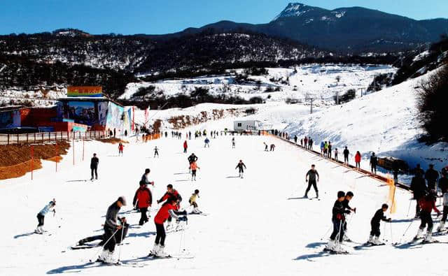 茂县九鼎山滑雪场明日开滑 圣诞节免门票