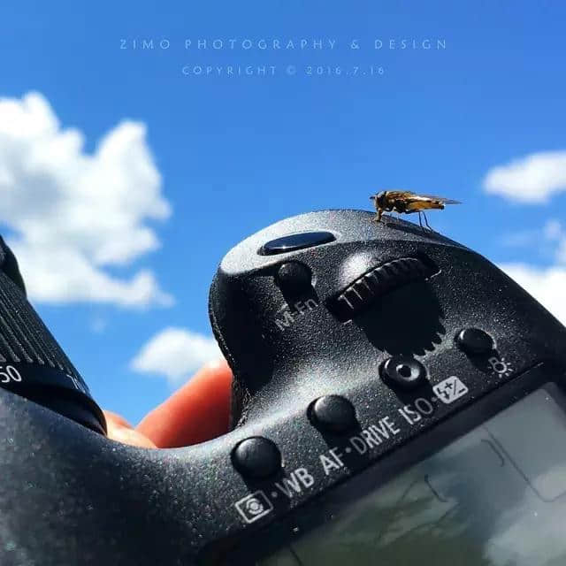 云南旅游必去的一个地方