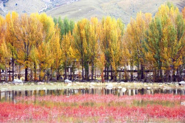 稻城亚丁该住稻城县还是亚丁村？10月住宿价格上千，选择有考究