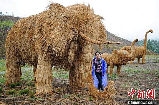 贵州毕节稻草人艺术节童趣多