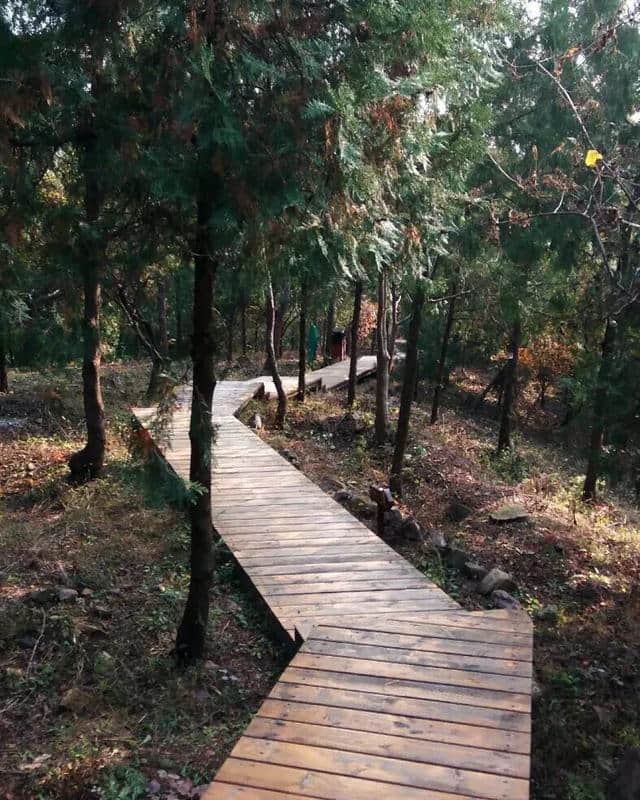 小辣椒旅游——北京最长，质量最好的登山石阶，就在蟒山森林公园