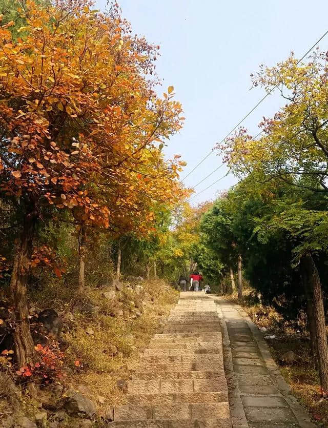 小辣椒旅游——北京最长，质量最好的登山石阶，就在蟒山森林公园