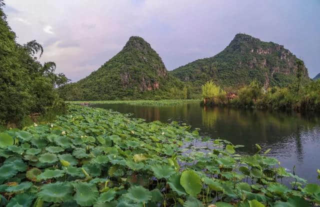 普者黑旅游实用攻略：抓住夏天最后的尾巴