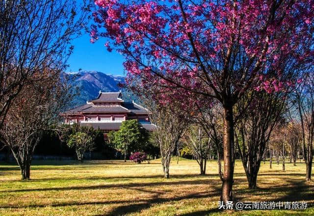 来云南旅游不容错过的旅游景点