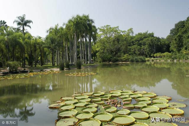 云南国家5A级旅游景区名单分享，云南有哪些好看的5A旅游景点推荐