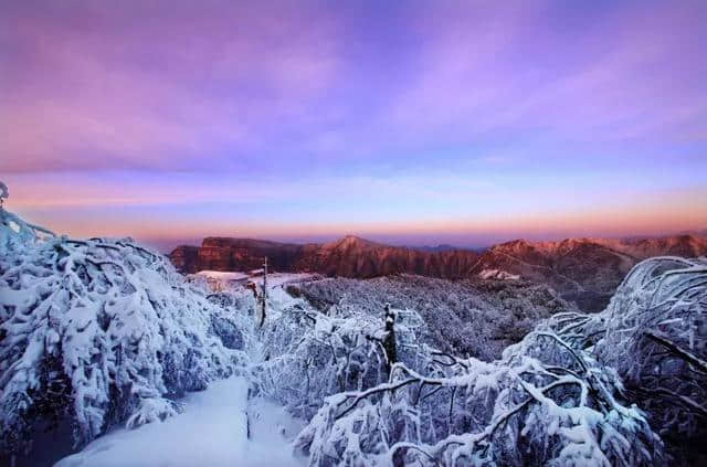 川内1-2天打来回！雪中森林遇水鹿，收好这6条美腻自驾路线