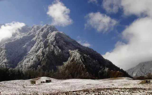 川内1-2天打来回！雪中森林遇水鹿，收好这6条美腻自驾路线