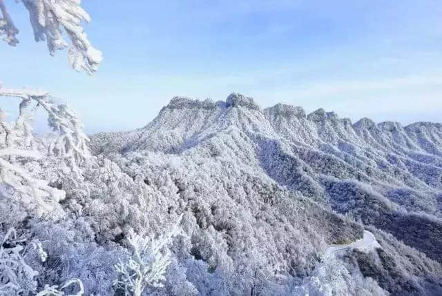 川内1-2天打来回！雪中森林遇水鹿，收好这6条美腻自驾路线