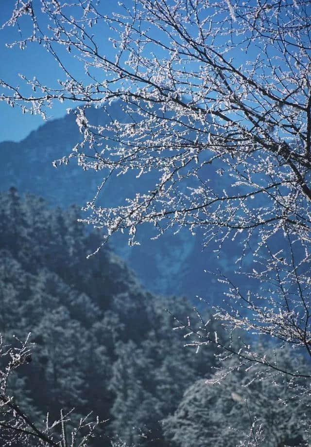 川内1-2天打来回！雪中森林遇水鹿，收好这6条美腻自驾路线