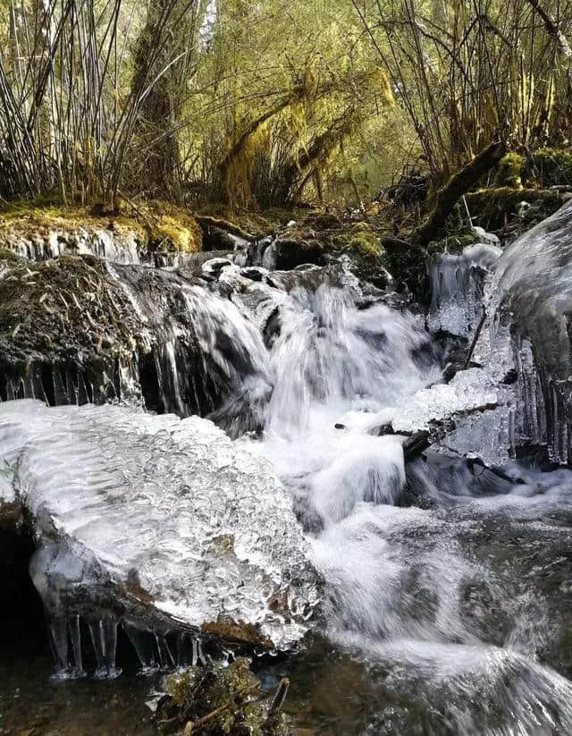 川内1-2天打来回！雪中森林遇水鹿，收好这6条美腻自驾路线