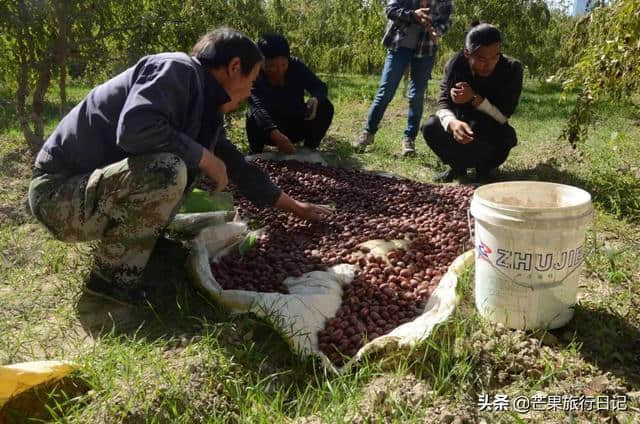 辞职从广州到甘肃新疆独自旅行四个月，这个女孩经历了什么？