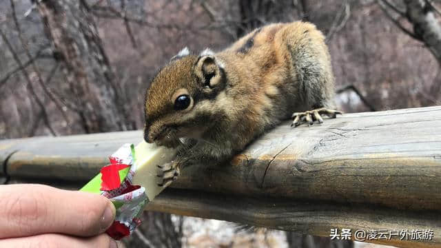 致青春 ， 川西九天一一稻城亚丁