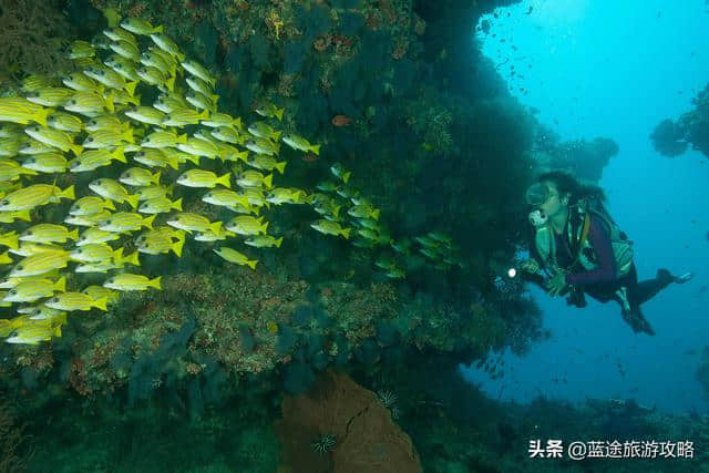 性价比超高马尔代夫五星岛屿，万元预算可去！