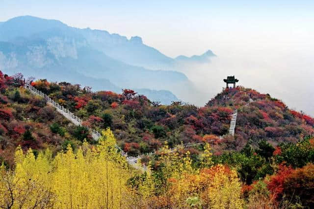 一张门票全年有效！云台山太给力了！