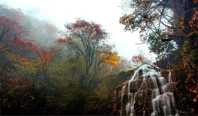 旅图 ▏彝良隐世美景 美得想拿来做桌面