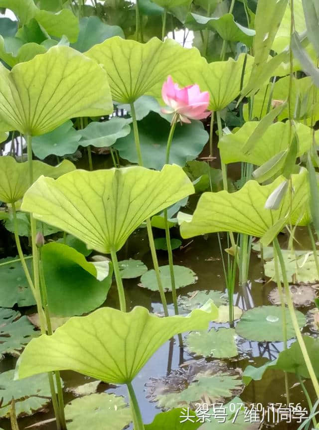 暑期云南旅游哪些事项应该引起高度注意？