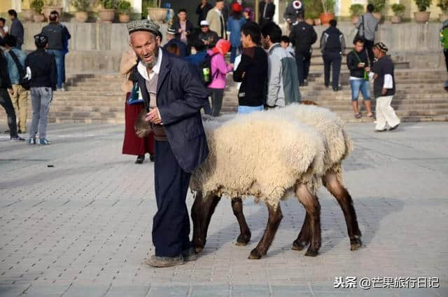 在新疆玩了近四个月的女孩，向你推荐的新疆自由行路线攻略