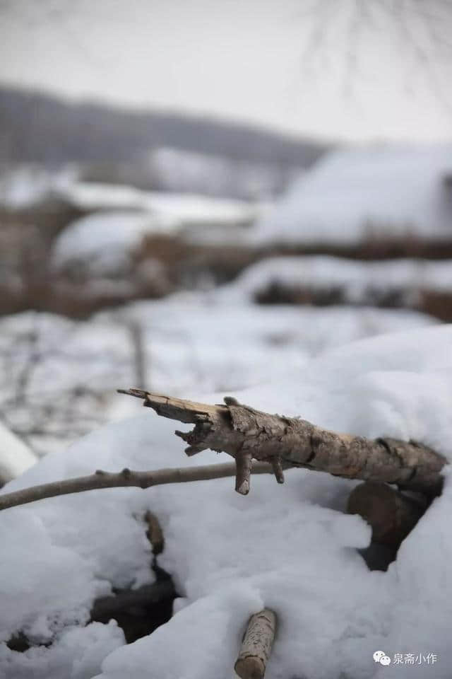 腊月乡雪：陈松帽儿山摄影随笔