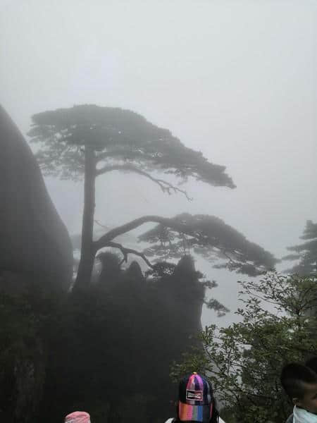 黄山一日游