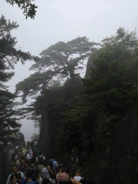 黄山一日游