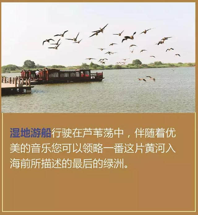 图解—黄河口生态旅游区10大景点