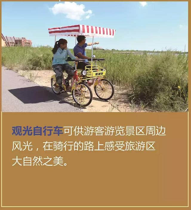 图解—黄河口生态旅游区10大景点