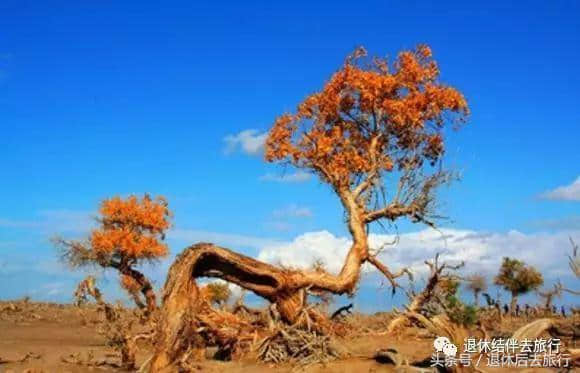 西部旅行——重走丝绸之路