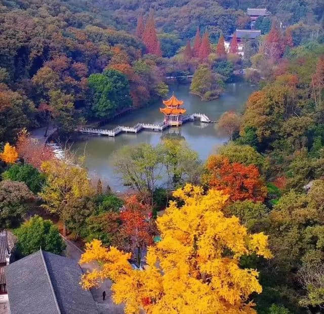 当阳旅游最权威攻略看这里！