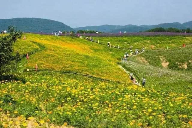 当阳旅游最权威攻略看这里！