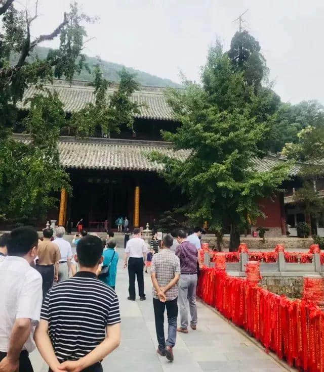 「乡村旅游」端午看当阳