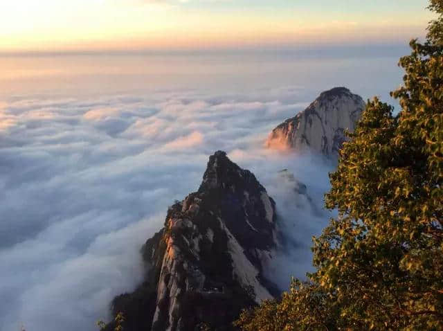 一分钟刷证进华山！抓住暑假尾巴快来次西岳智慧行