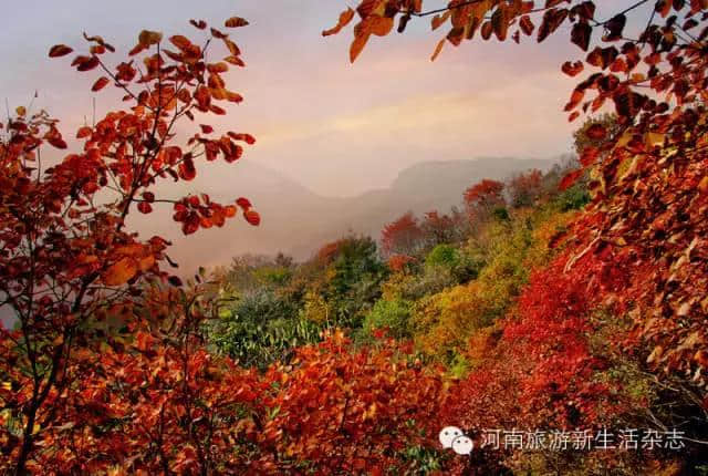 乘着高铁游河南，去这8个城市过个不一样的大年，吃喝玩乐全都有