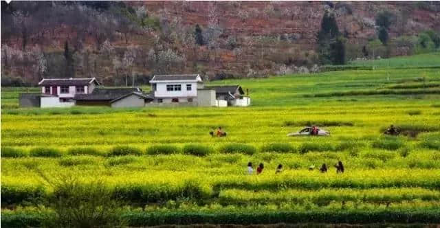 四川旅游每月旅游表