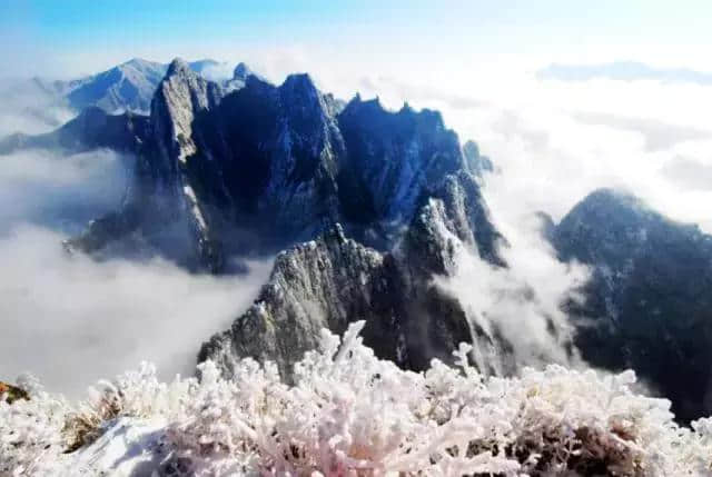 “华山雪景”最美不过“北国风光，千里冰封”