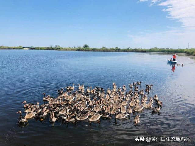 庆教师节教师走进黄河口生态旅游区 开展“黄河入海”大美家乡写生采风活动