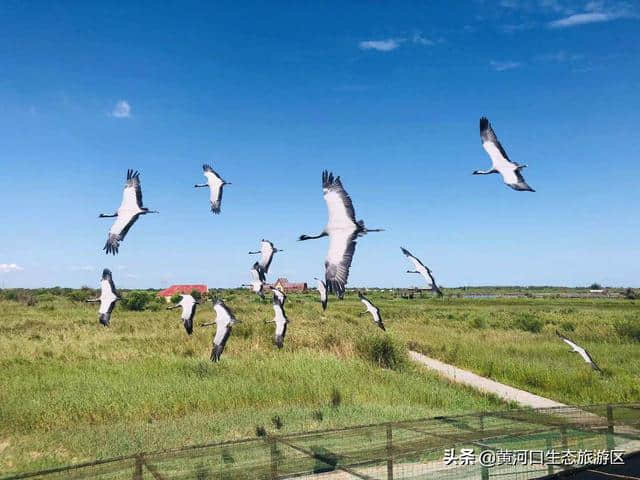 庆教师节教师走进黄河口生态旅游区 开展“黄河入海”大美家乡写生采风活动