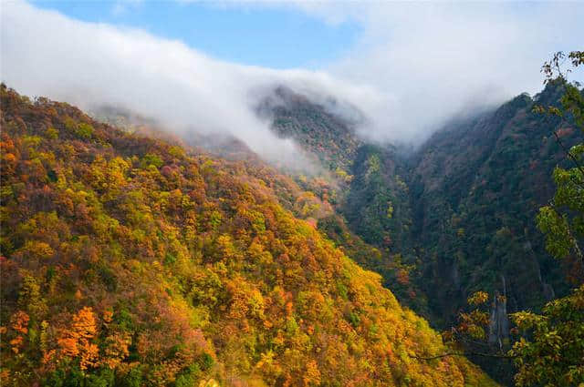 重庆巫山当阳大峡谷路线图（自驾+景区）