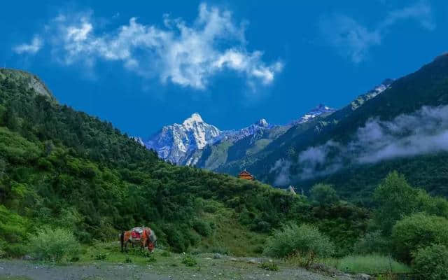 四姑娘山，夏天有一场约会！