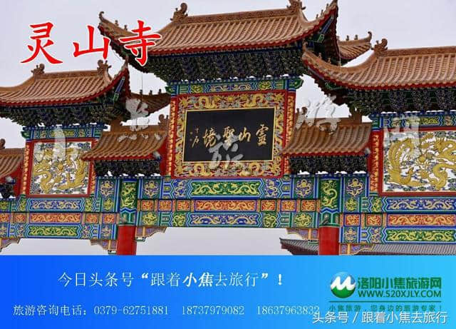 25号含全陪华东五市周庄乌镇双卧纯玩7日游 洛阳小焦旅游网