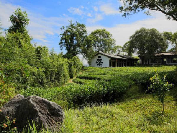 云南经典的四条旅游线路，去云南就这样玩吧