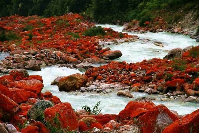 四川最值得去的地方