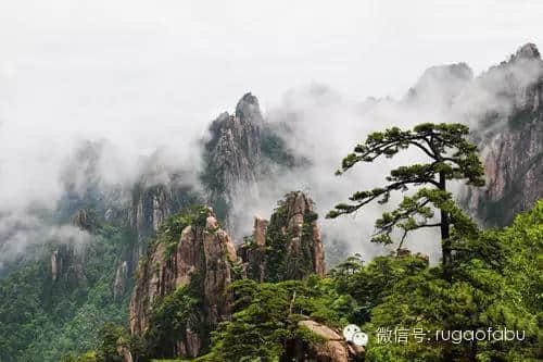 华东地区新年旅游9大目的地，如皋亮了！