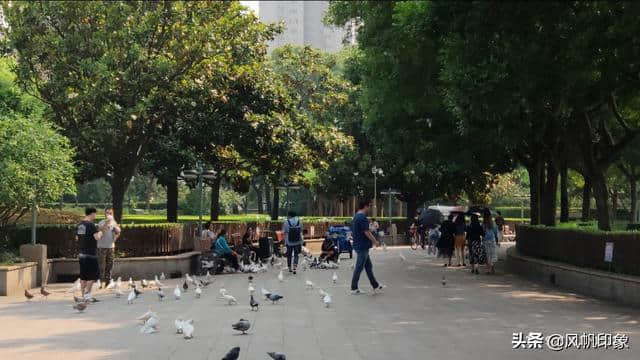 「华东旅游」一场说走就走的旅行之一（上海）