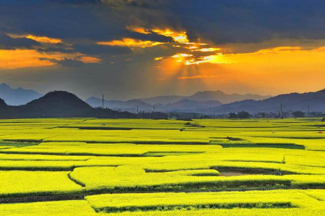 2019年3月罗平油菜花节旅游攻略