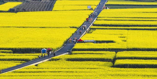 2019年3月罗平油菜花节旅游攻略